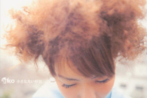aiko (あいこ) 1stアルバム『小さな丸い好日』(1999年4月21日発売) 高画質ジャケット画像