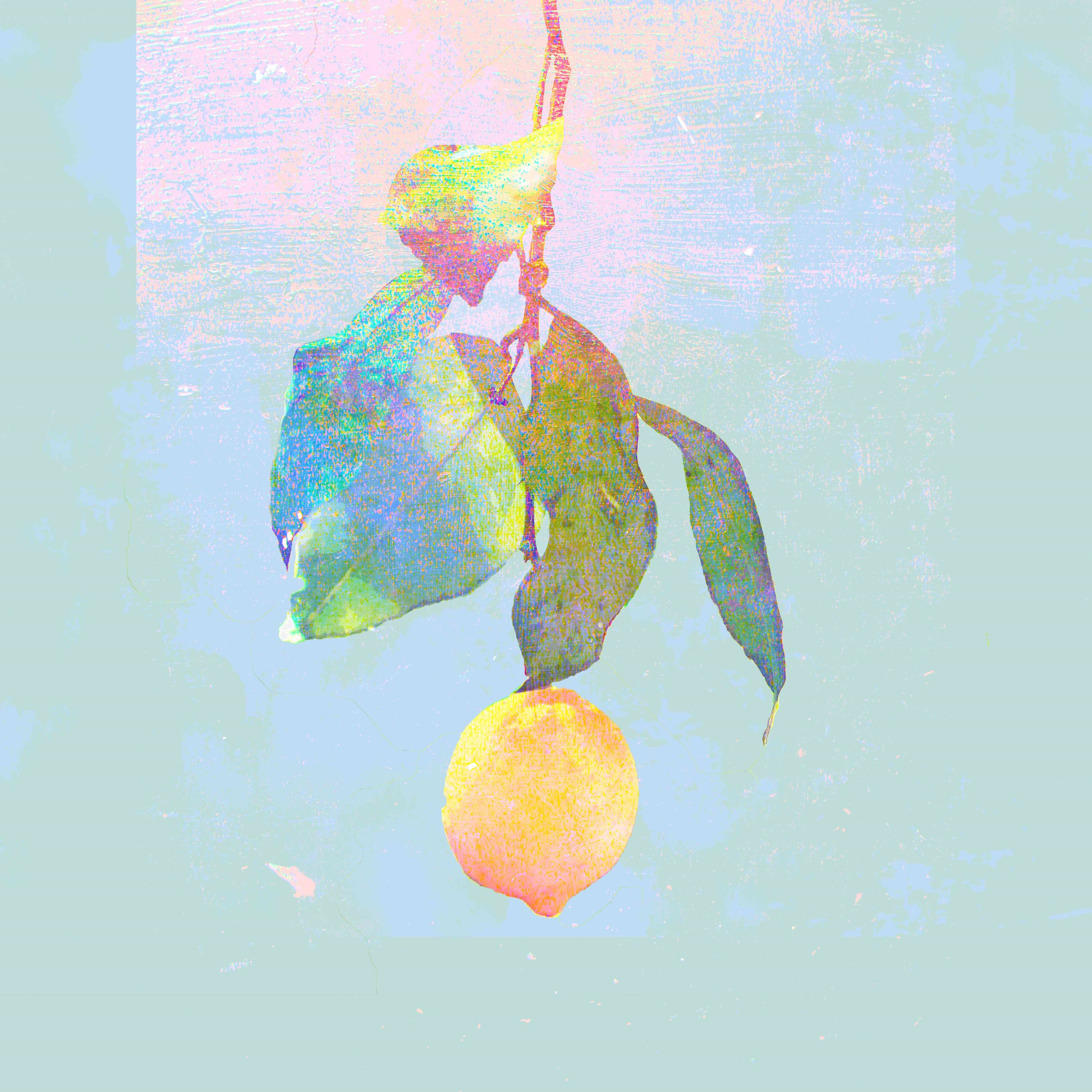 米津玄師 (よねづけんし) 8thシングル『Lemon (レモン)』(2018年3月14日発売) 高画質CDジャケット画像