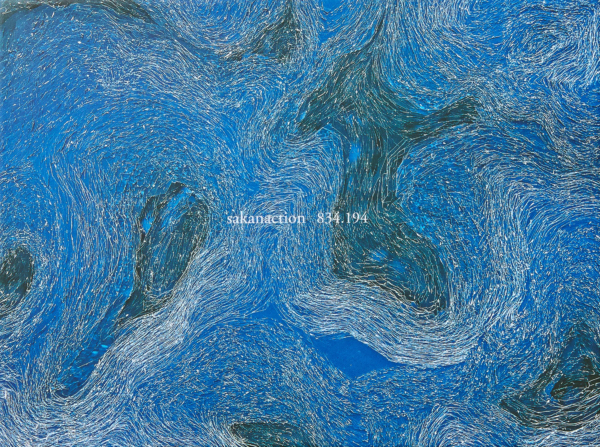 サカナクション (Sakanaction) 7thアルバム『834.194 (はちさんよんいちきゅうよん)』(完全生産限定盤A) 高画質CDジャケット画像