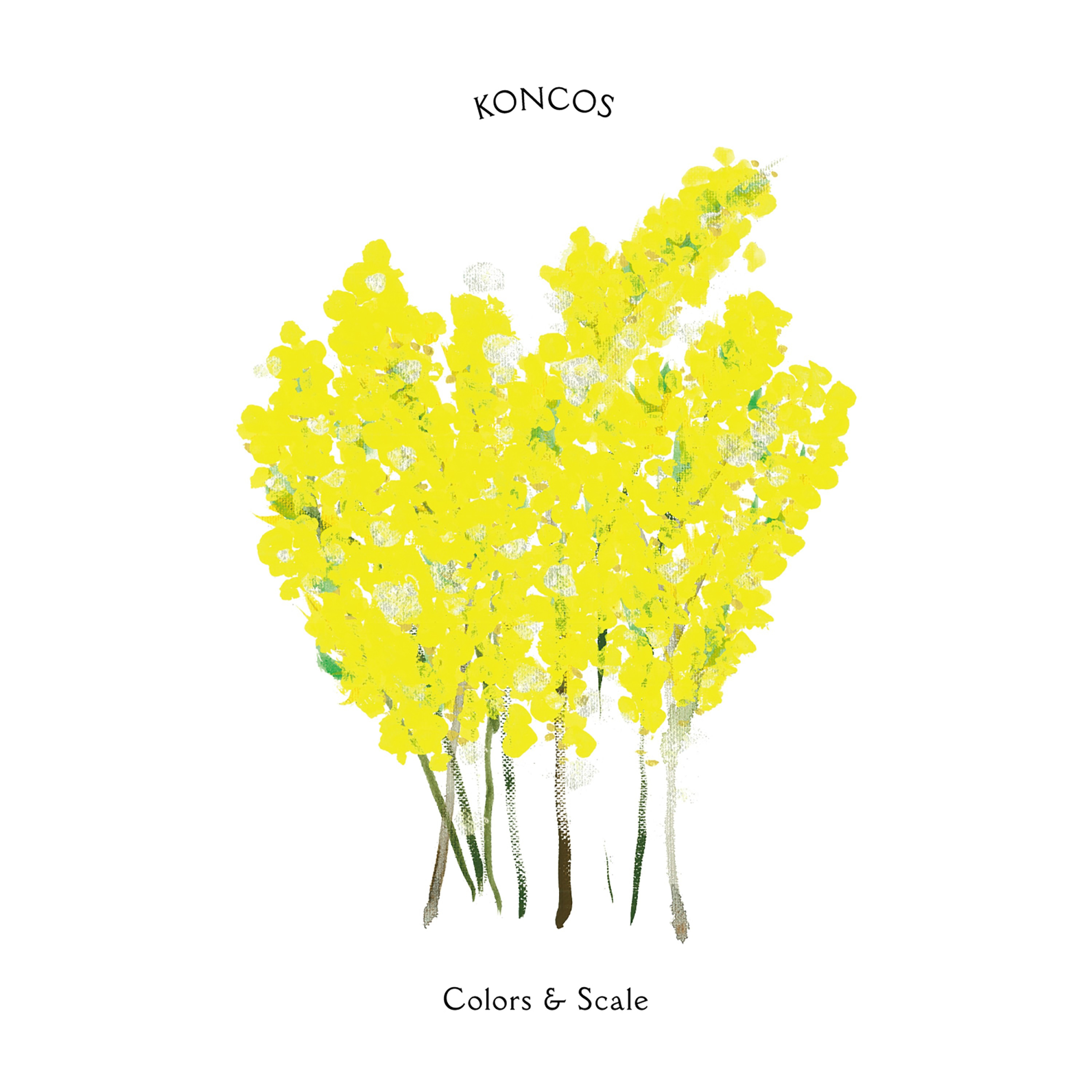 KONCOS (コンコス) 3rdアルバム『Colors & Scale (カラーズ アンド スケール)』(2016年7月20日発売) 高画質CDジャケット画像 (ジャケ写)