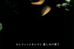 エレファントカシマシ 12thシングル『悲しみの果て』(1996年11月1日発売) 高画質CDジャケット画像 (ジャケ写)